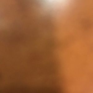 Meet your Posher, Quinlan